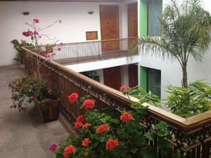 thumbnail: General view