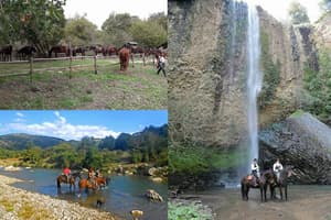 thumbnail: Ecotours