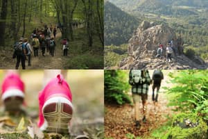 thumbnail: Hiking