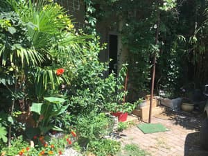 thumbnail: Terrace/patio