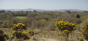 thumbnail: Land view from property