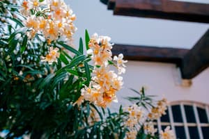thumbnail: Exterior detail