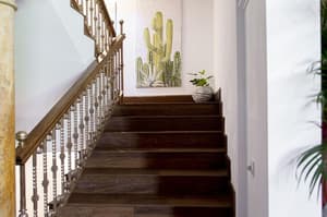 thumbnail: General view
