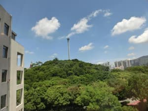 thumbnail: General view