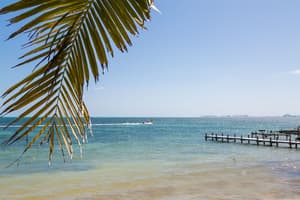 thumbnail: Beach