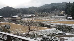 thumbnail: View from room