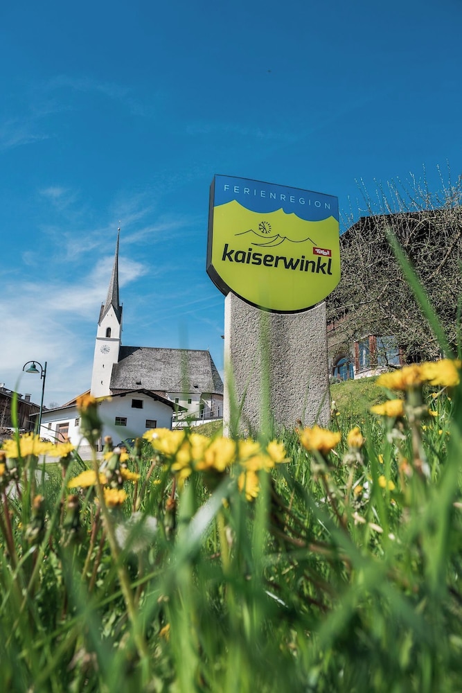 Outdoor wedding area