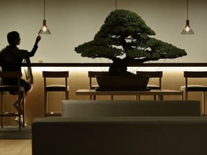 thumbnail: Lounge