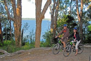 thumbnail: Bicycling