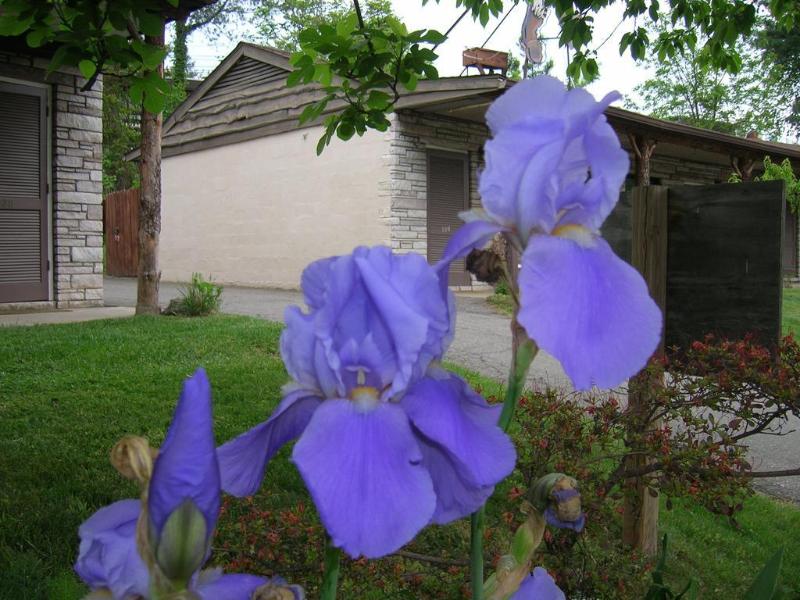 General view