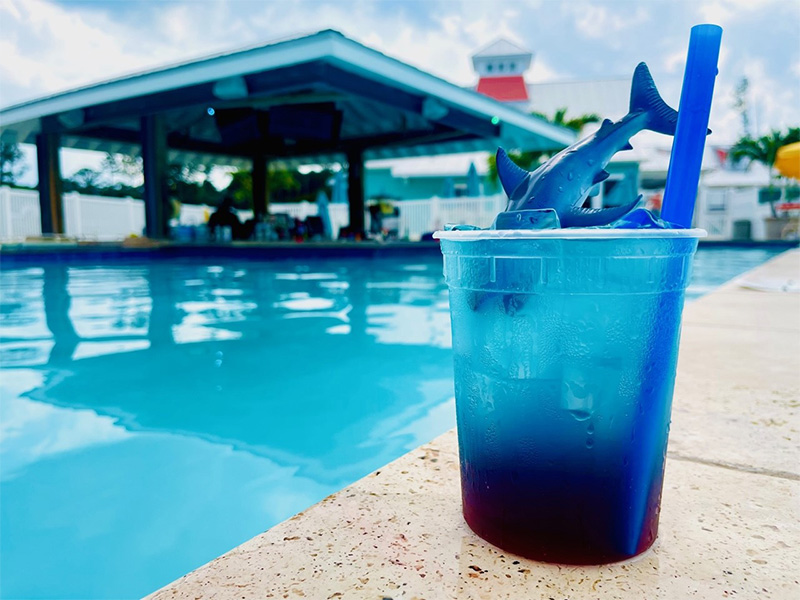 Pool Bar