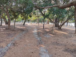 thumbnail: Land view from property
