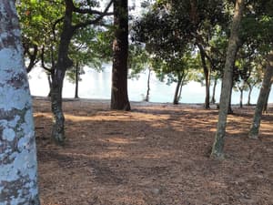 thumbnail: Land view from property