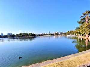 thumbnail: Land view from property