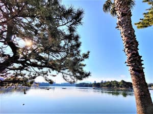 thumbnail: Land view from property