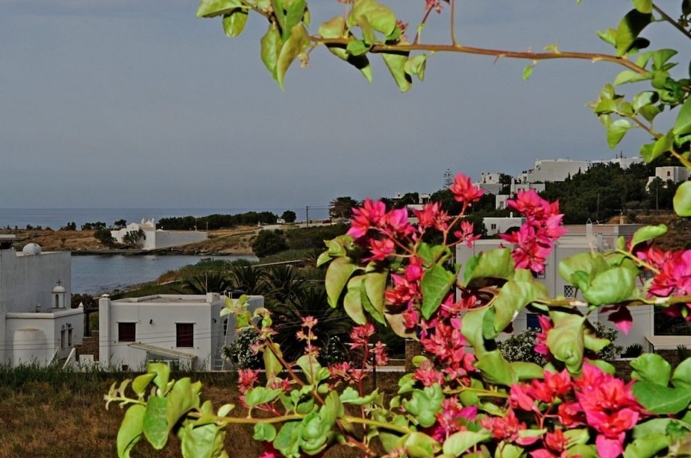 Surroundings
