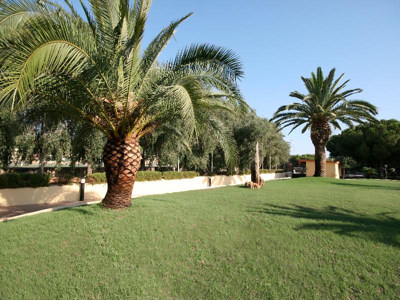 General view