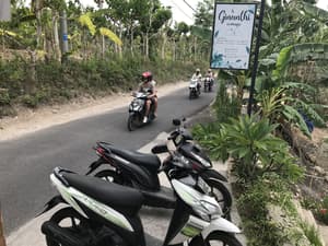 thumbnail: Ecotours