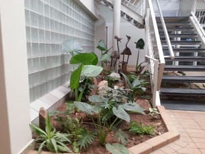 thumbnail: Staircase