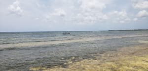 thumbnail: Fishing