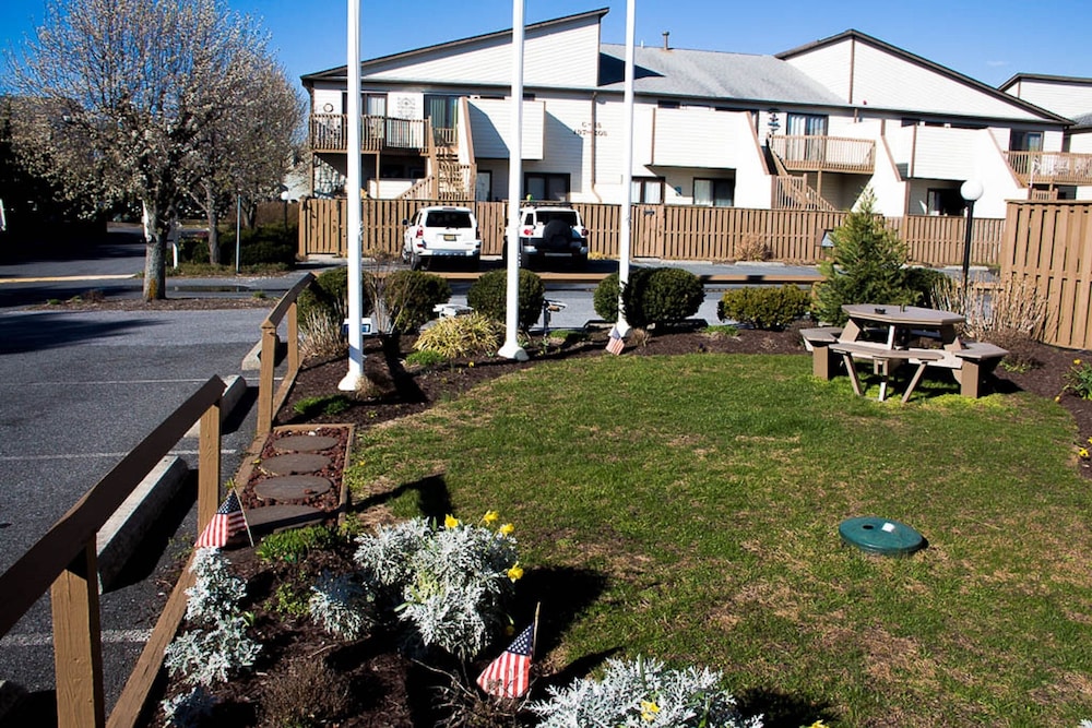 BBQ/picnic area