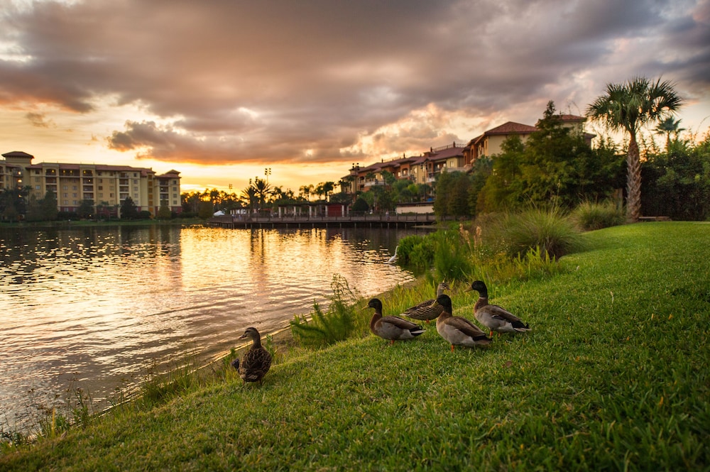 Outdoor wedding area