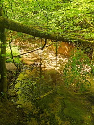 thumbnail: Hiking