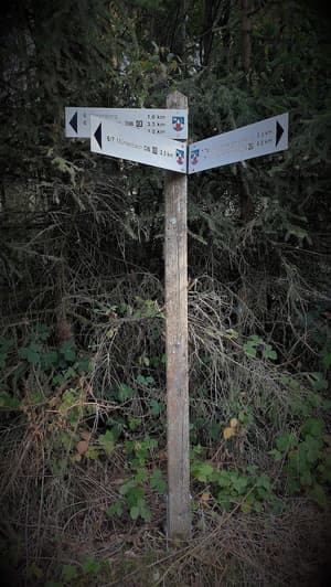 thumbnail: Hiking