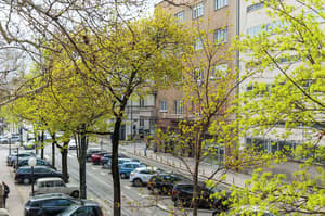 thumbnail: Street view