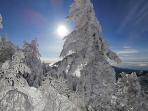 thumbnail: Snow and ski sports