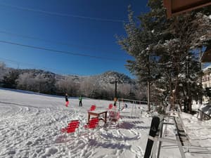 thumbnail: Snow and ski sports