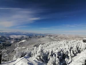 thumbnail: Snow and ski sports