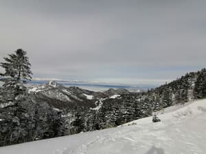 thumbnail: Snow and ski sports