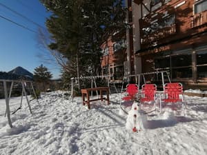 thumbnail: Snow and ski sports