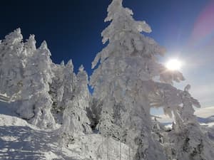 thumbnail: Snow and ski sports