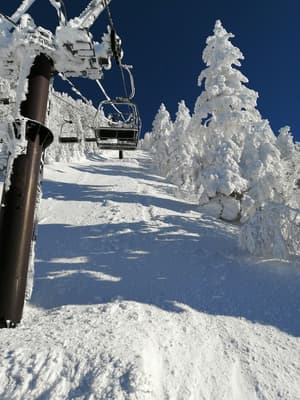 thumbnail: Snow and ski sports