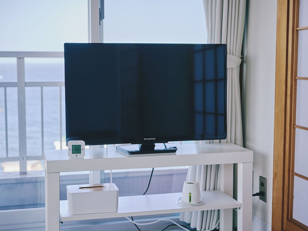 Television
