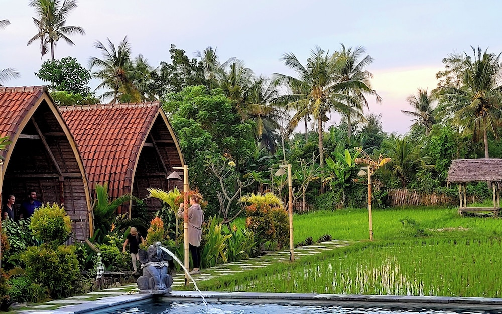 Garden view
