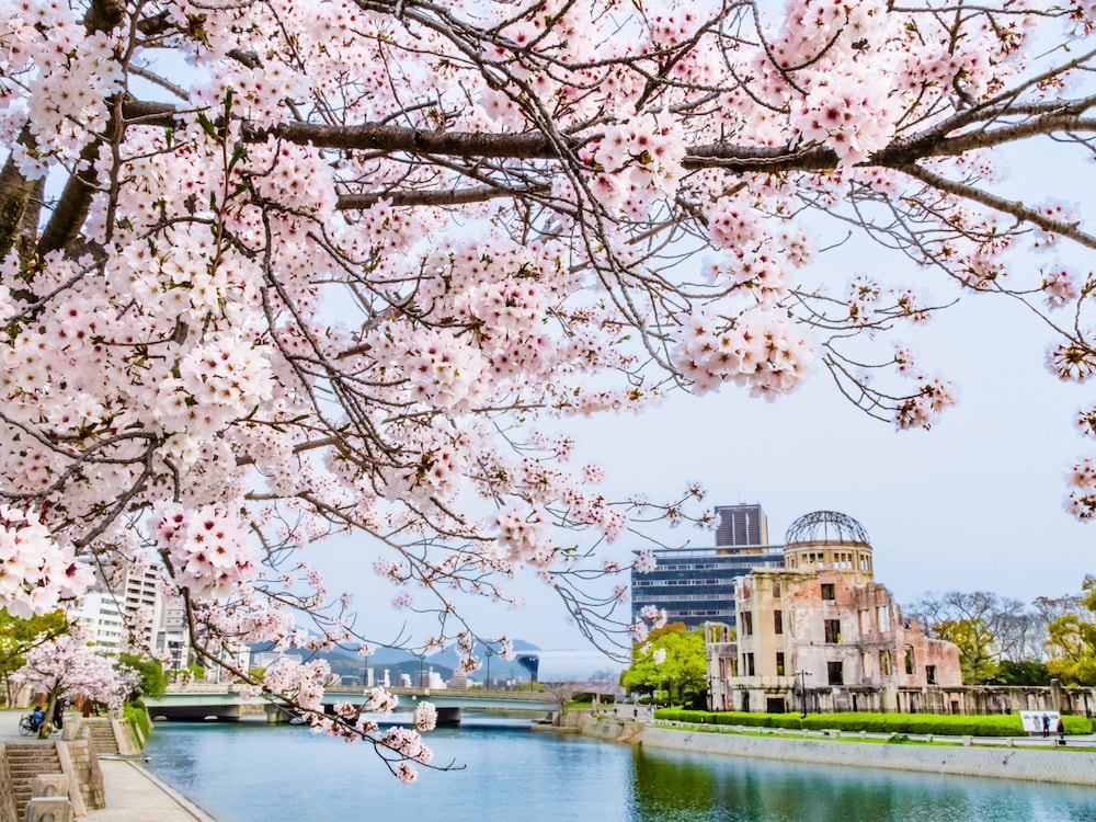 City view from property