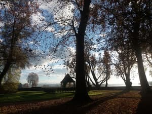 thumbnail: Property grounds