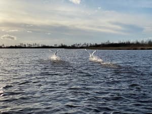 thumbnail: Boating