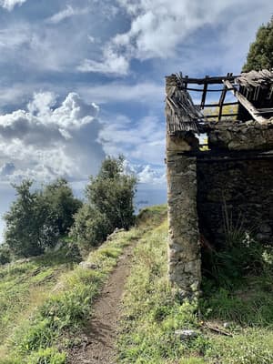 thumbnail: Hiking