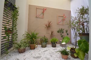 thumbnail: Garden