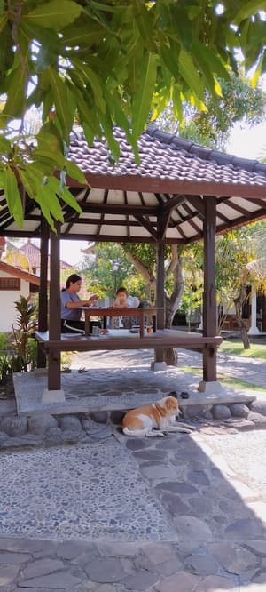 thumbnail: Living area