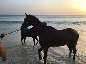 thumbnail: Beach