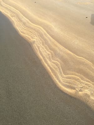 thumbnail: Beach