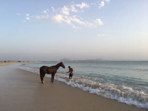 thumbnail: Beach