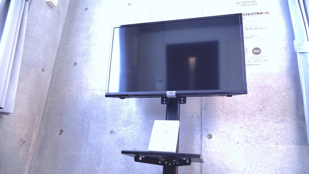 Television