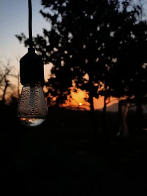 thumbnail: Miscellaneous