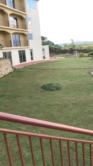 thumbnail: Garden